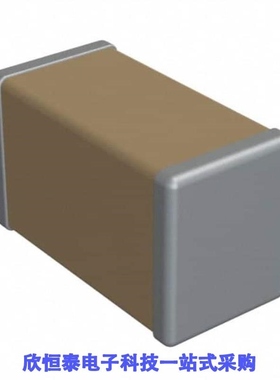 P21BN300M5ST/P21BN300MA04282T/P21BN300MA04733T