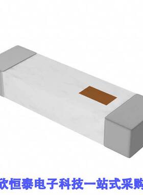 2450AT43A100E射频 《 RF ANT 2.4GHZ CHIP SOLDER SMD    》