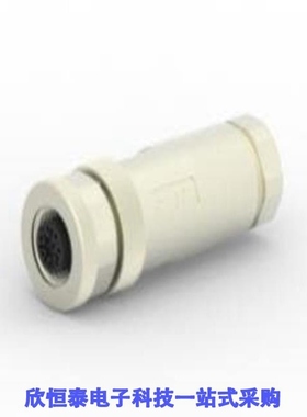 T4110011081-000/T4110012021-000/T4110012031-000