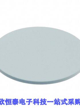 32397射频 《 RFID TAG READ ONLY 125KHZ COIN    》
