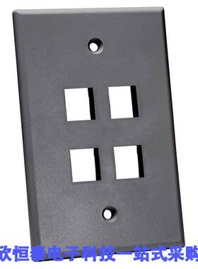 NFP-5040连接器 《 OVERSIZED KEYSTONE WALL PLATE SI    》