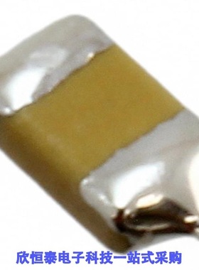 F951C106MQAAQ2/F951C106MSAAQ2/F951C155MPAAQ2