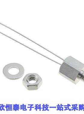 NTCASCWE3104F null Vishay