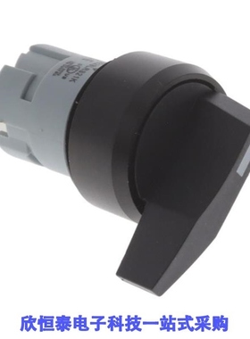 PB22SLRS21K/PB22SLRS31K/PB22SM40R