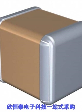 C3225X6S0G107M250AC/C3225X6S0J107M250AB/C3225X6S0J107MT000N