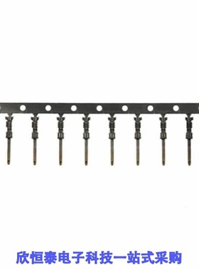 SA3148/SA3148/1/SA3149