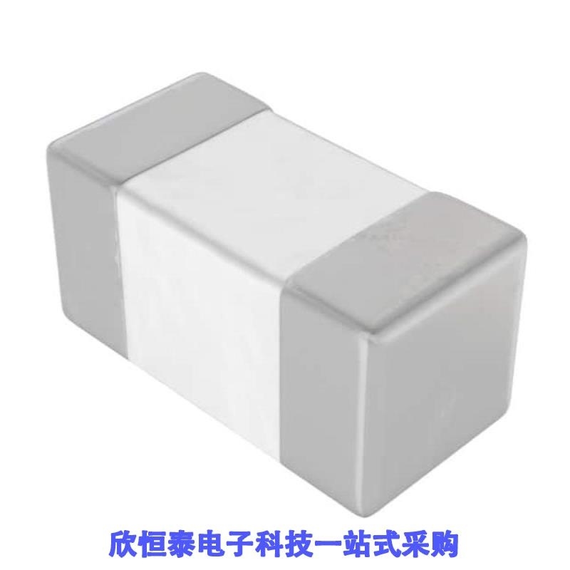 250R05L200JV4T 250R05L200GV4T 250R05L1R9CV4T