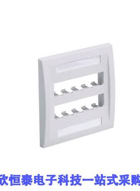 CFPE10IW-2GY连接器 《 FACEPLATE, 10 PORT, DOUBLE GANG,    》