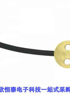 SN164传感器，变送器 《 PT1000TG7/0, TEMPERATURE PROBE    》