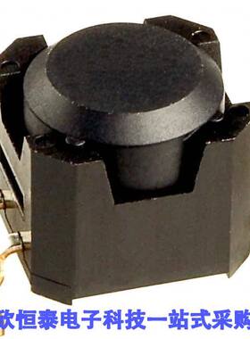 DSBA1P null NKK Switches