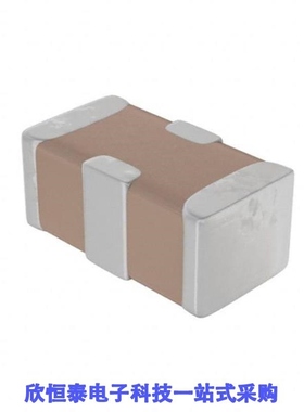 500X07N100MV4T/500X07N101MV4T/500X07N220MV4T