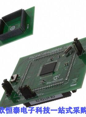 MA240019开发板 《 MODULE PLUG-IN PIC24FJ64GB004    》