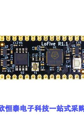 LOFIVE-R1开发板 《 SIFIVE FE310-G002 RISC-V DEV    》