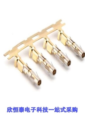 SS16M2G10/SS16M2G30/SS16M2N