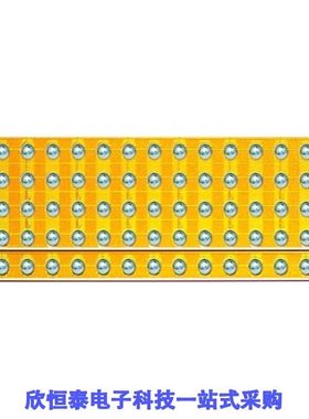 EPC2100/EPC2101/EPC2101ENGRT