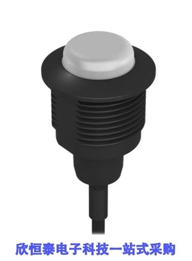 S22DLGRXP/S22DLGRXPT/S22DLGRYPT