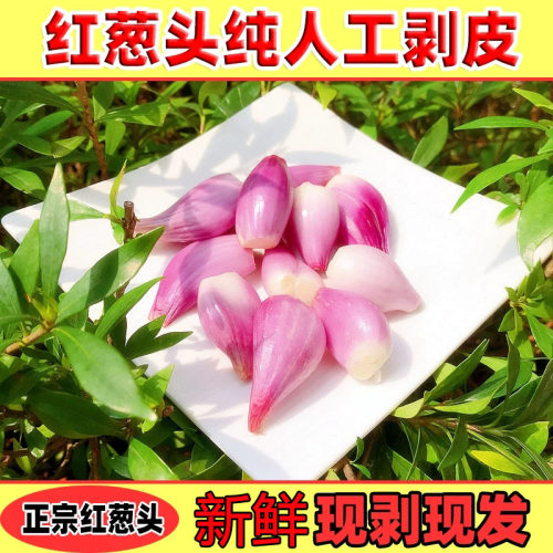 福建红葱头去皮新鲜葱头熬葱油