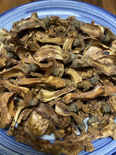 广西长寿之乡深山泡水野生茶籽芯原生态茶果芯茶仔芯油茶籽心