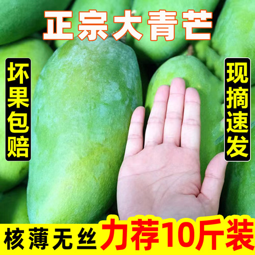 海南芒果正宗青芒10斤新鲜水果包邮当季整箱应季特大青芒果甜心芒