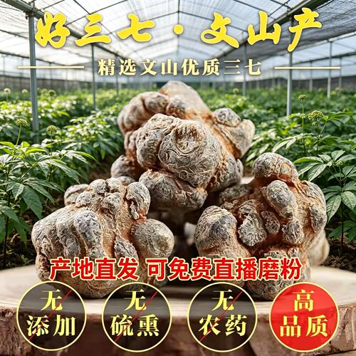 云南文山春三七无剪口田七正品