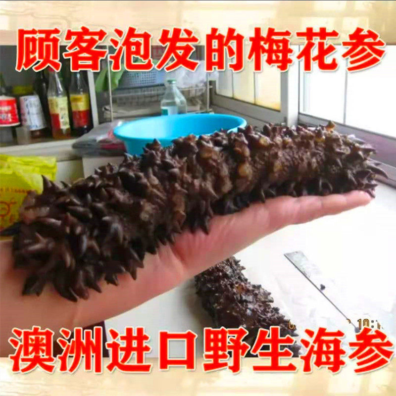 梅花参澳洲进口海参野生淡干海参干货深海冷水刺参非大连辽参特价
