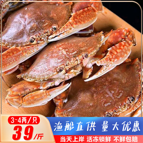 梭子蟹蟹沈渔翁超划算