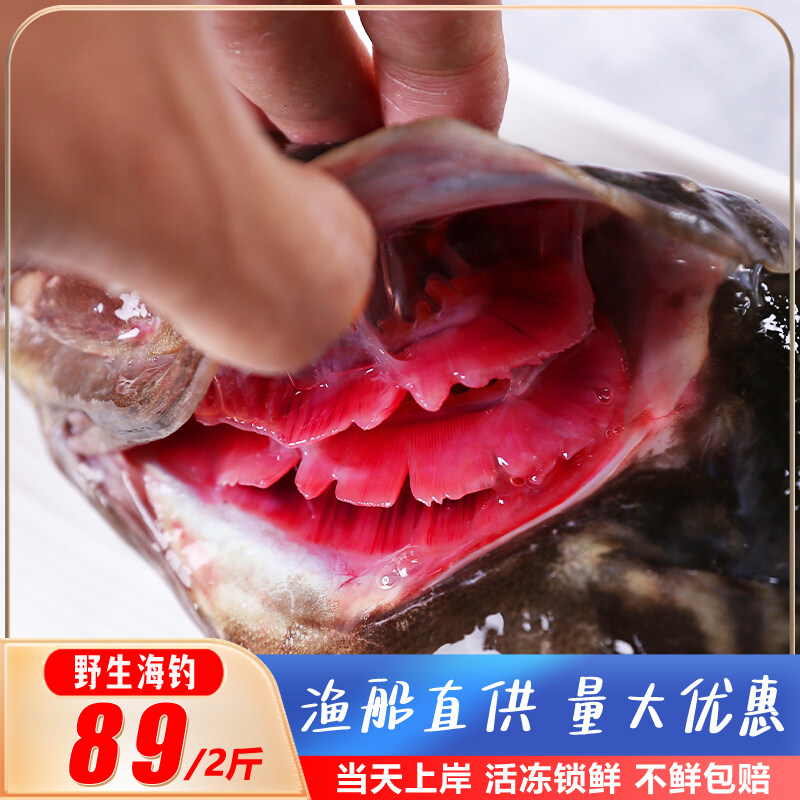 【2~2.2斤/条】深海石斑鱼斑鱼