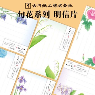 旬花明信片植物唯美创意小清新留言卡片送祝福情书 日本古川纸工