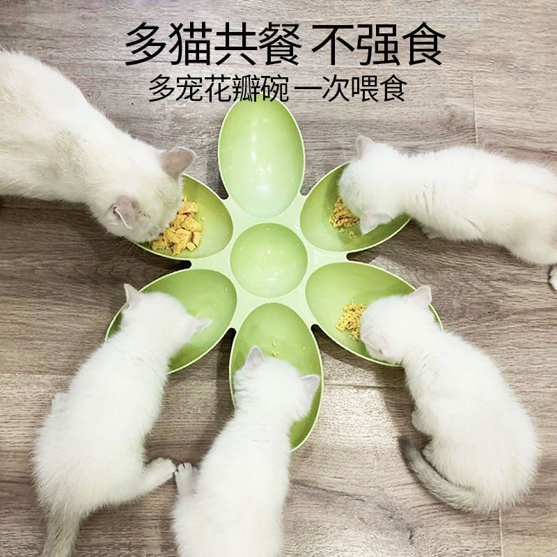 跨境猫碗花瓣多猫食盆幼猫专用碗幼犬狗碗流浪猫喂食餐碗猫咪用品