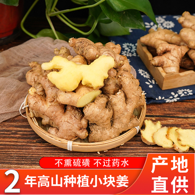 云南两年以上小块小黄姜