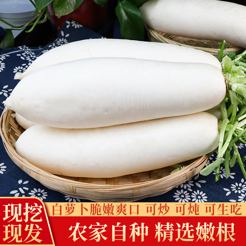 云南新鲜现挖白萝卜山地种植脆甜多汁凉拌煲汤食材新鲜蔬菜,水产肉类/新鲜蔬果/熟食,萝卜/胡萝卜,淘宝优惠券,粉丝福利购,淘宝优惠卷