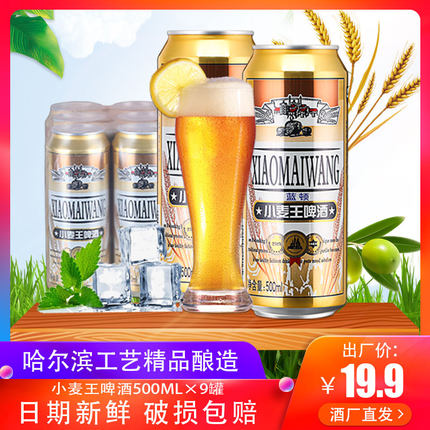 小麦王啤酒鲜麦芽精酿啤酒大灌500ml*9听拉灌整箱味醇正团购/包邮