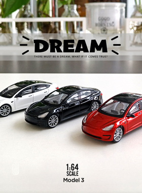 TM 1:64Dream系列特斯拉Model3仿真合金汽车模型 收藏摆件礼品