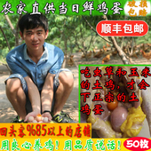 正宗土鸡蛋农家散养新鲜农村自养野外笨柴月子天热五谷虫草蛋50枚