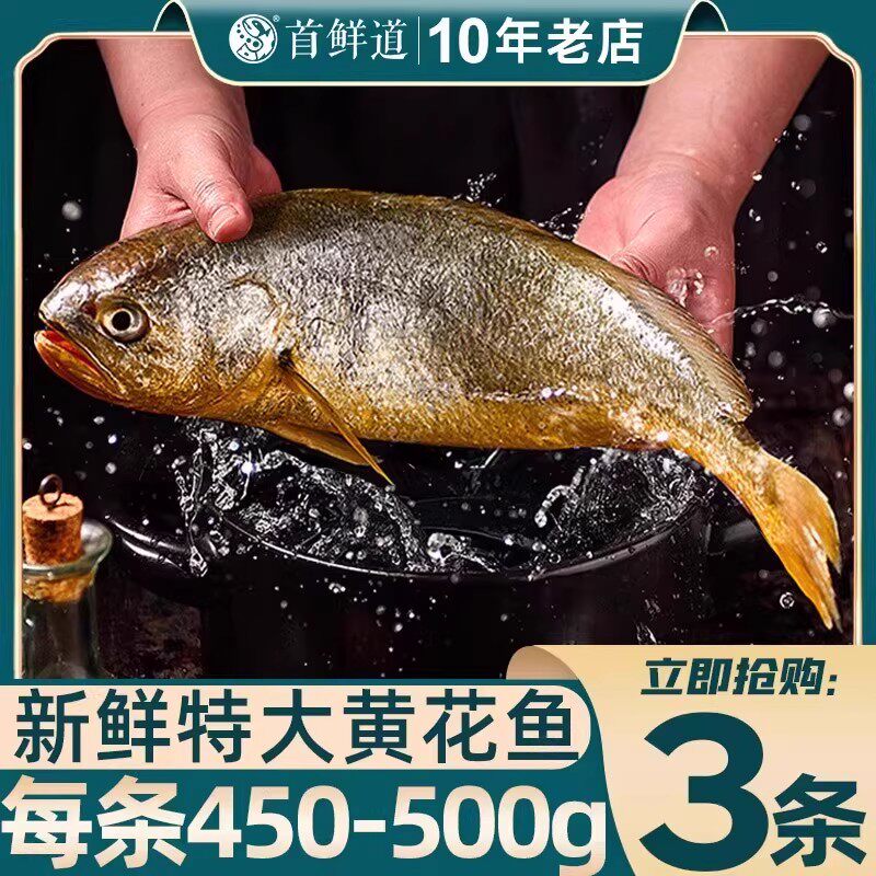 【直播】新货大黄花鱼新鲜冷冻生鲜水产鲜活冰鲜海鱼宁德小黄鱼