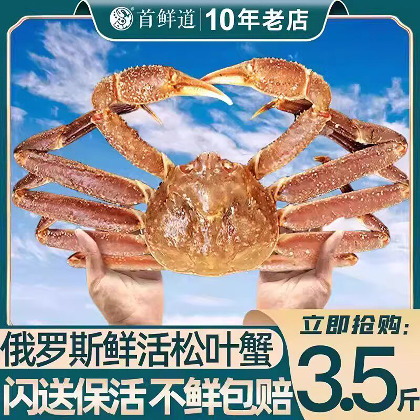 俄罗斯鲜活松叶蟹特大1.6-3.5斤图片