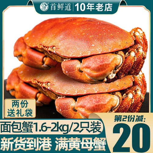 面包蟹黄金蟹SXD/首鲜道