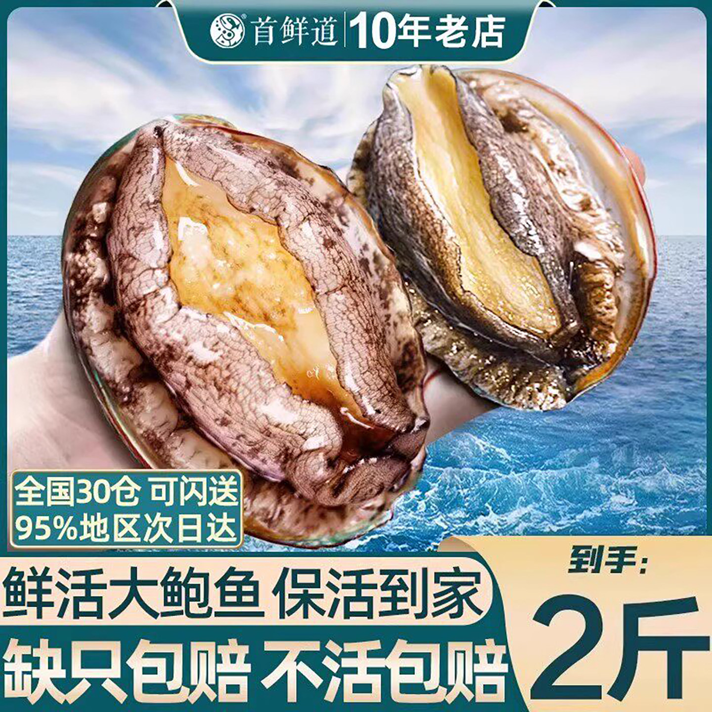 保活鲍鱼牺牲包赔鲜活到家