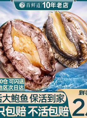保活鲍鱼牺牲包赔鲜活到家