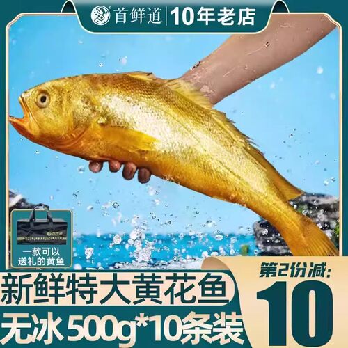 无冰特大黄花鱼新鲜10斤