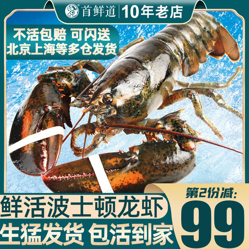 SXD/首鲜道鲜活大龙虾保活到家