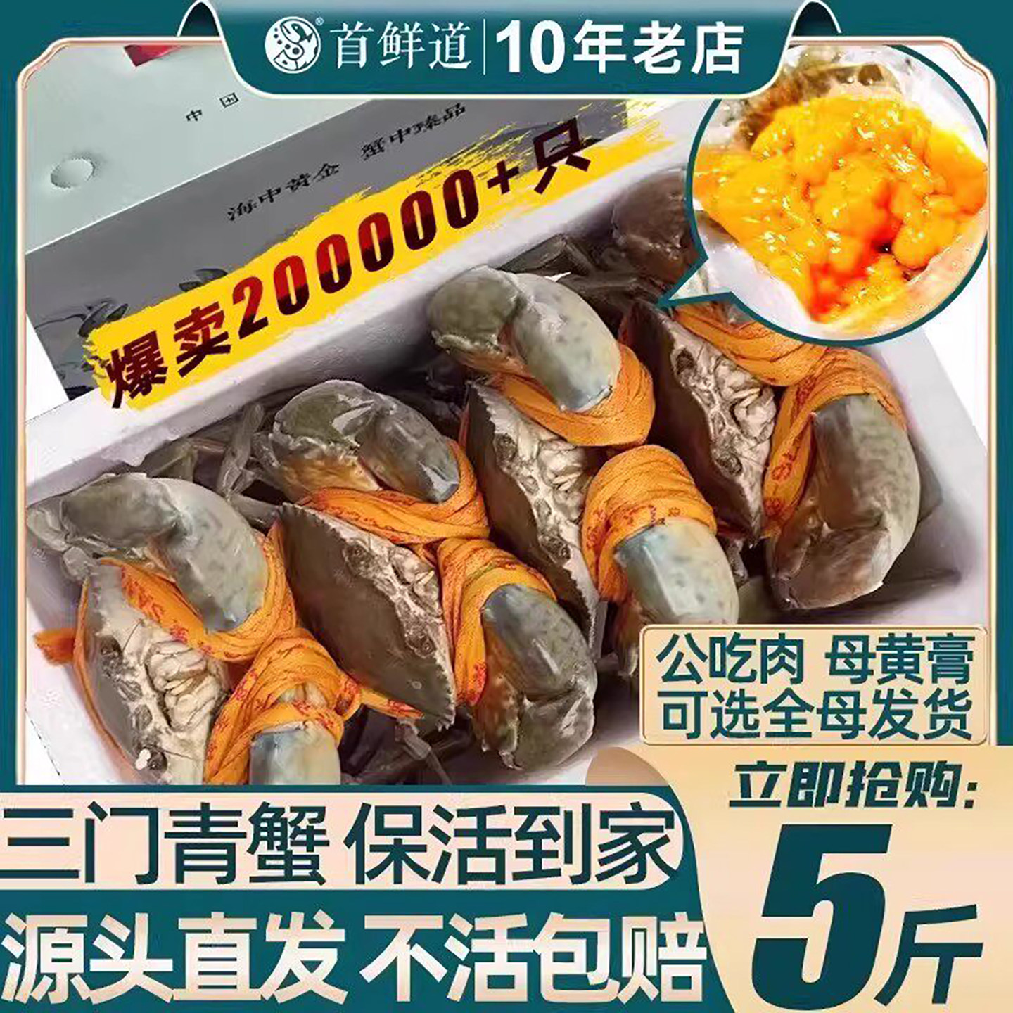正品三门青蟹保活到家