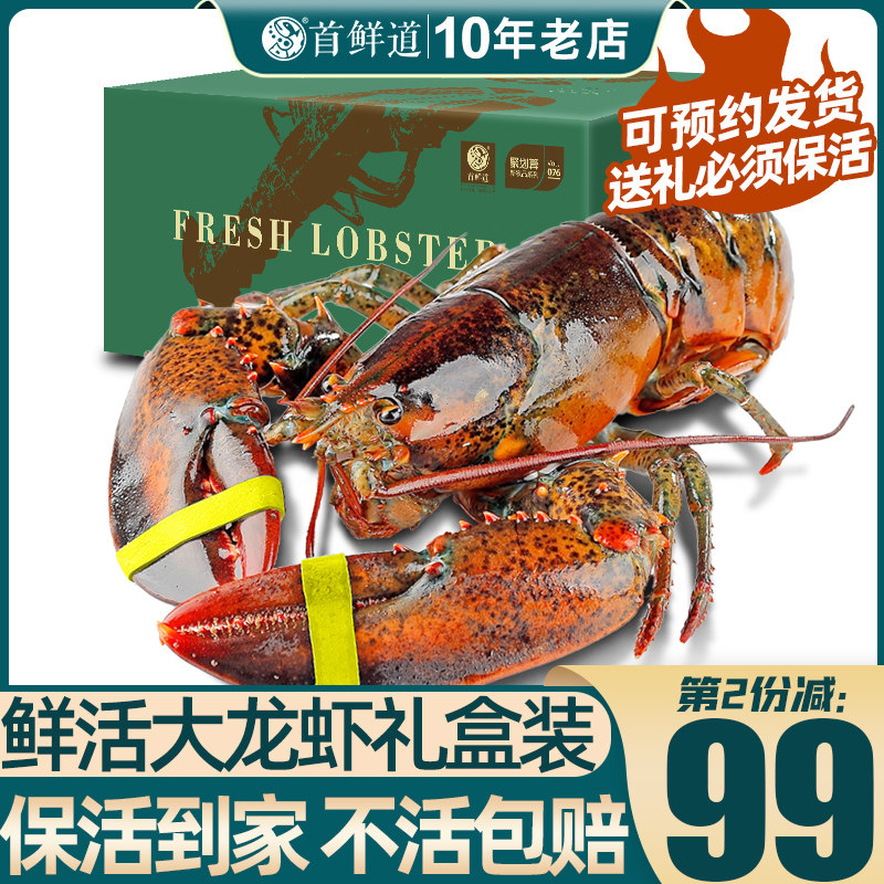 波士顿龙虾龙虾鲜活特大龙虾波龙礼盒小奥龙澳洲龙虾海鲜年货