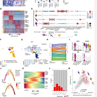 科研项目研究课题技术服务生信分析作图 按实际分析费用拍多件