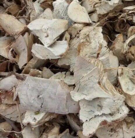 野生岗梅根 点称星 山土甘草 山梅头根 天星木 秤星树 500g包邮