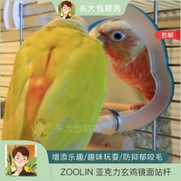 ZOOLIN炫彩亚克力鹦鹉玩具 鸟笼玄鸡镜面站杆趣味玩耍防抑郁包邮