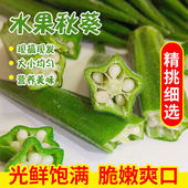 净重1 5斤 okra羊角豆嫩果蔬菜 现摘 包邮 水果秋葵新鲜农家自种