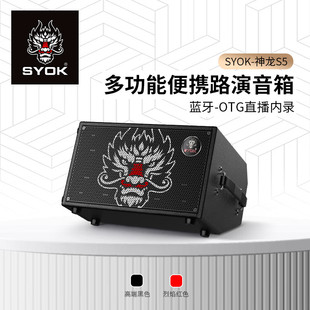 SYOK神龙S5音响280W大功率户外弹唱路演直播内录蓝牙乐器唱歌音箱