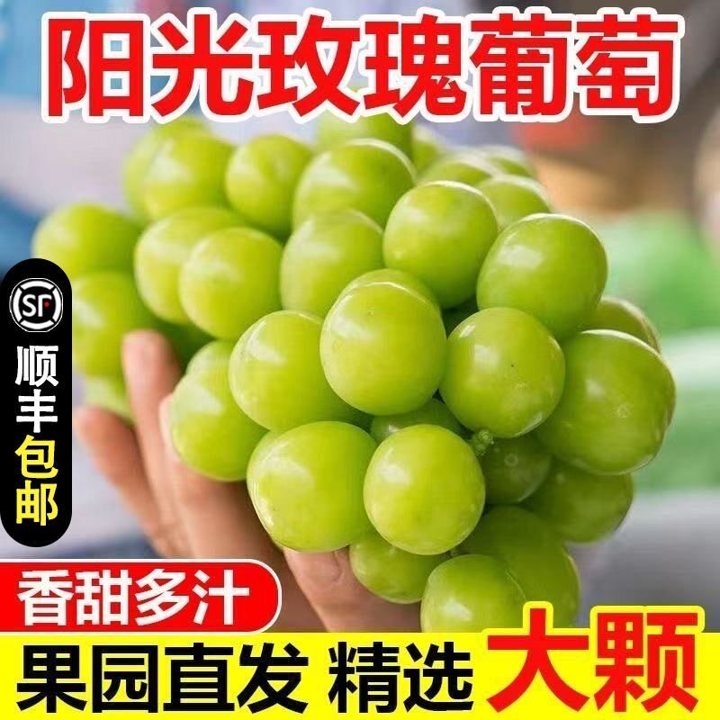 阳光玫瑰葡萄5斤产地直发顺丰