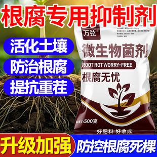 根腐克星根腐专用根腐病正品农用立枯死棵猝倒基腐弱苗根腐抑制剂
